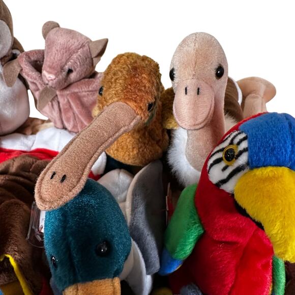 Ty Beanie Baby Lot of 15 Winged Animals Near Mint Condition Lot See Description - Picture 4 of 9